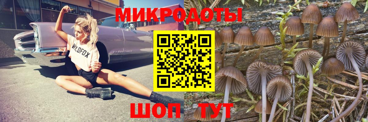 Галлюциногенные грибы Psilocybe  Галлюциногенные грибы Cubensis  Донецк  Вход с VPN 
